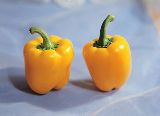 포토 JPG 스튜디오촬영 식물 채소 식재료 고추 피망 파프리카 실내 근접촬영 사람없음 농작물 노란색 두개 유기농 국내포토 웰빙 뷰포인트 컬러 2 농업 내부 파일형식