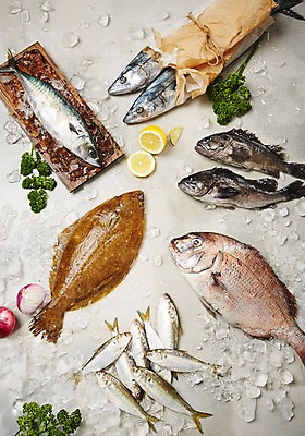 포토 JPG 스튜디오촬영 종이 식재료 회색배경 실내 어류 사람없음 얼음 레몬 해산물 도미 고등어 광어 삼치 우럭 적양파 전어 국내포토 자연요소 백그라운드 과일 양파 내부 수중동물 회색 파일형식