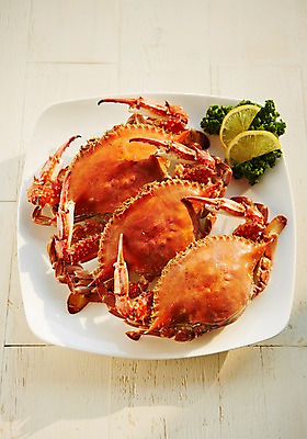 포토 JPG 스튜디오촬영 접시 어패류 실내 파슬리 사람없음 꽃게 레몬 해산물 꽃게요리 꽃게찜 파슬리장식 국내포토 동물 식기 음식 채소 과일 내부 장식 게 파일형식