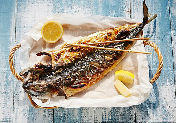 포토 JPG 스튜디오촬영 젓가락 쟁반 실내 사람없음 레몬 해산물 파란배경 생선구이 고등어 고등어구이 기름종이 국내포토 종이 백그라운드 과일 수저 어류 내부 파란색 구이 생선요리 파일형식