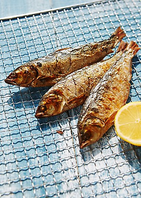 포토 JPG 스튜디오촬영 실내 사람없음 그릴 레몬 해산물 생선구이 석쇠구이 전어 제철음식 국내포토 음식 과일 주방용품 어류 내부 구이 생선요리 제철 파일형식