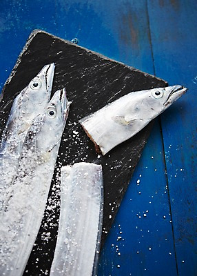 포토 JPG 스튜디오촬영 접시 식재료 실내 사람없음 해산물 파란배경 소금 갈치 돌접시 국내포토 식기 백그라운드 어류 내부 파란색 파일형식