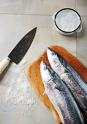 포토 JPG 스튜디오촬영 그릇 접시 식재료 도마 실내 사람없음 얼음 해산물 흰배경 소금 식칼 나무도마 삼치 국내포토 자연요소 식기 백그라운드 주방용품 내부 목재 흰색 파일형식