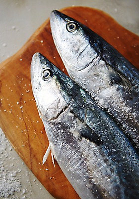 포토 JPG 스튜디오촬영 식재료 회색배경 실내 사람없음 해산물 소금 나무도마 삼치 국내포토 백그라운드 도마 내부 목재 회색 파일형식