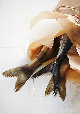 포토 JPG 스튜디오촬영 종이 식재료 포장 어패류 실내 사람없음 해산물 흰배경 꼬리 삼치 국내포토 동물 백그라운드 내부 흰색 파일형식