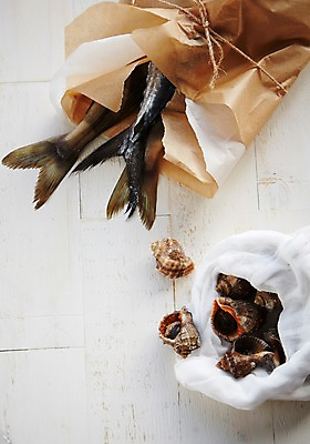 포토 JPG 스튜디오촬영 종이 식재료 포장 어패류 실내 사람없음 소라 묶기 해산물 흰배경 담기 꼬리 자루 삼치 국내포토 동물 백그라운드 모션 내부 흰색 파일형식