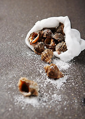 포토 JPG 스튜디오촬영 식재료 어패류 실내 사람없음 소라 해산물 소금 자루 국내포토 동물 내부 파일형식