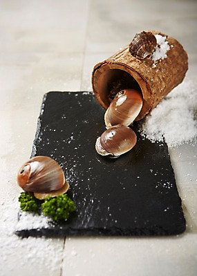 포토 JPG 스튜디오촬영 식재료 어패류 도마 실내 파슬리 사람없음 골뱅이 해산물 소금 파슬리장식 국내포토 동물 채소 주방용품 내부 장식 파일형식