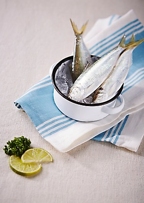 포토 JPG 스튜디오촬영 식재료 실내 파슬리 사람없음 얼음 냄비 천 레몬 해산물 담기 전어 파슬리장식 제철음식 국내포토 자연요소 음식 채소 과일 모션 어류 내부 장식 직물 솥 제철 파일형식