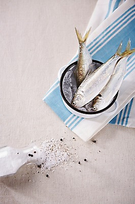포토 JPG 스튜디오촬영 식재료 실내 사람없음 얼음 냄비 천 해산물 흰배경 소금 쏟아짐 소금통 전어 국내포토 자연요소 백그라운드 모션 어류 내부 흰색 직물 솥 파일형식