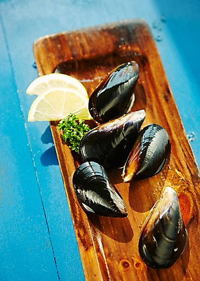 포토 JPG 스튜디오촬영 접시 식재료 어패류 실내 파슬리 사람없음 레몬 해산물 홍합 파슬리장식 국내포토 동물 식기 채소 과일 내부 장식 파일형식