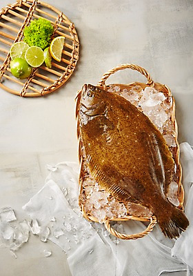 포토 JPG 스튜디오촬영 식재료 회색배경 어패류 실내 사람없음 바구니 얼음 레몬 해산물 라임 넙치 광어 국내포토 자연요소 동물 백그라운드 과일 어류 내부 회색 파일형식