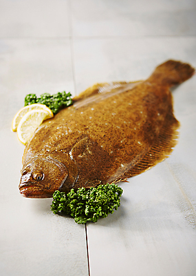 포토 JPG 스튜디오촬영 식재료 실내 파슬리 사람없음 아웃포커스 해산물 흰배경 넙치 광어 파슬리장식 국내포토 백그라운드 채소 촬영기법 어류 내부 장식 흰색 파일형식