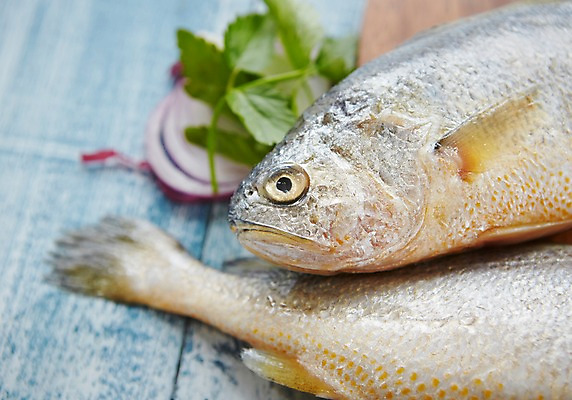 포토 JPG 스튜디오촬영 식재료 양파 도마 실내 근접촬영 사람없음 해산물 파란배경 조기_생선 국내포토 뷰포인트 백그라운드 채소 주방용품 어류 내부 파란색 파일형식