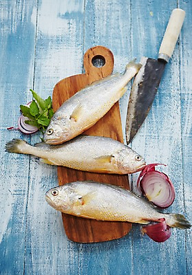 포토 JPG 스튜디오촬영 식재료 실내 사람없음 해산물 파란배경 식칼 나무도마 적양파 조기_생선 국내포토 백그라운드 주방용품 양파 도마 어류 내부 목재 파란색 파일형식