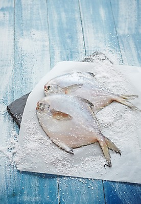 포토 JPG 스튜디오촬영 식재료 실내 사람없음 해산물 파란배경 소금 병어 절임 돌접시 종이호일 국내포토 접시 음식 백그라운드 내부 파란색 파일형식