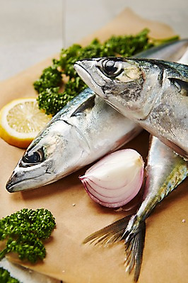 포토 JPG 스튜디오촬영 식재료 도마 실내 파슬리 근접촬영 사람없음 레몬 해산물 흰배경 고등어 적양파 파슬리장식 종이호일 국내포토 뷰포인트 백그라운드 채소 과일 주방용품 양파 어류 내부 장식 흰색 파일형식