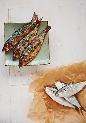 포토 JPG 스튜디오촬영 접시 종이 식재료 실내 요리 사람없음 해산물 흰배경 생선구이 전어 제철음식 국내포토 식기 음식 백그라운드 어류 내부 흰색 구이 생선요리 제철 파일형식