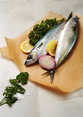 포토 JPG 스튜디오촬영 식재료 회색배경 실내 파슬리 사람없음 레몬 해산물 소금 고등어 적양파 종이호일 국내포토 백그라운드 채소 과일 양파 어류 내부 회색 파일형식