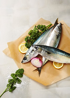 포토 JPG 스튜디오촬영 종이 식재료 회색배경 실내 파슬리 사람없음 레몬 해산물 소금 고등어 적양파 종이호일 국내포토 백그라운드 채소 과일 양파 어류 내부 회색 파일형식