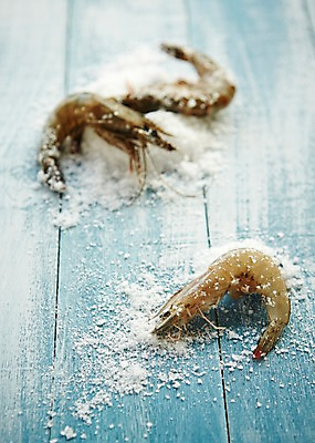 포토 JPG 스튜디오촬영 식재료 어패류 새우 실내 사람없음 해산물 소금 절임 생새우 국내포토 동물 음식 갑각류 내부 파일형식