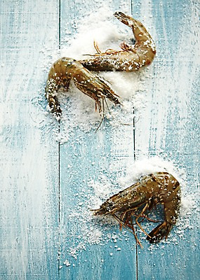 포토 JPG 스튜디오촬영 식재료 어패류 새우 실내 사람없음 해산물 소금 절임 생새우 국내포토 동물 음식 갑각류 내부 파일형식