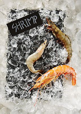 포토 JPG 스튜디오촬영 접시 식재료 어패류 새우 실내 사람없음 얼음 해산물 생새우 국내포토 자연요소 동물 식기 갑각류 내부 파일형식