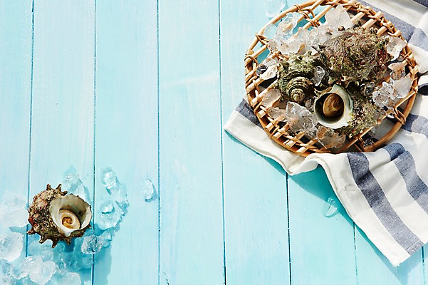 포토 JPG 스튜디오촬영 식재료 어패류 실내 사람없음 얼음 소라 천 해산물 참소라 국내포토 자연요소 동물 내부 직물 파일형식