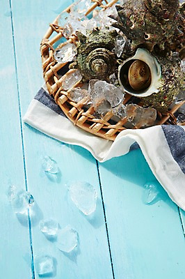 포토 JPG 스튜디오촬영 식재료 어패류 실내 사람없음 얼음 소라 천 해산물 참소라 국내포토 자연요소 동물 내부 직물 파일형식