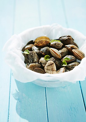 포토 JPG 스튜디오촬영 그릇 식재료 어패류 실내 사람없음 해산물 바지락 국내포토 동물 식기 조개 내부 파일형식