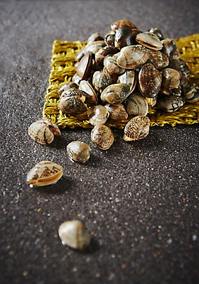 포토 JPG 스튜디오촬영 식재료 어패류 실내 사람없음 아웃포커스 해산물 바지락 국내포토 동물 조개 촬영기법 내부 파일형식