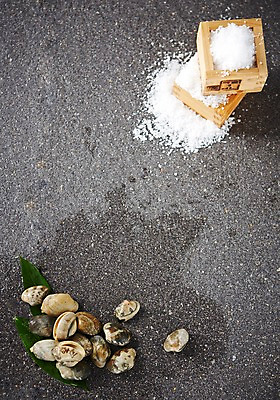 포토 JPG 스튜디오촬영 식재료 어패류 나뭇잎 실내 사람없음 해산물 소금 되 바지락 국내포토 동물 잎 조개 내부 파일형식