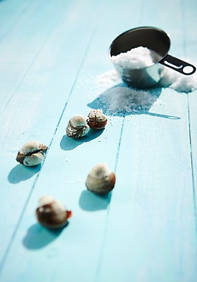 포토 JPG 스튜디오촬영 식재료 어패류 실내 사람없음 해산물 소금 계량컵 꼬막 제철 제철음식 국내포토 동물 음식 내부 컵 계량 파일형식