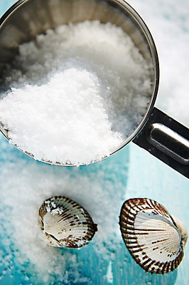 포토 JPG 스튜디오촬영 식재료 어패류 실내 사람없음 해산물 소금 계량컵 꼬막 제철 제철음식 국내포토 동물 음식 내부 컵 계량 파일형식