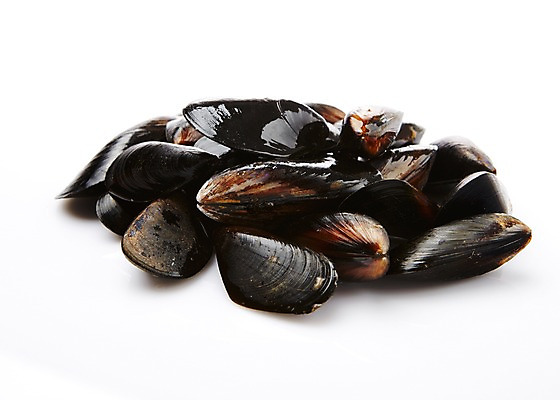 포토 JPG 스튜디오촬영 식재료 어패류 실내 누끼 사람없음 해산물 홍합 국내포토 동물 내부 파일형식