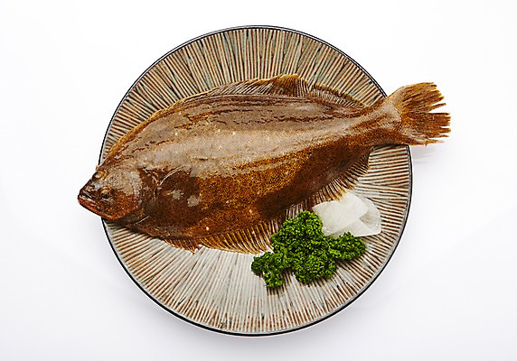 포토 JPG 스튜디오촬영 한마리 접시 식재료 실내 파슬리 어류 사람없음 해산물 흰배경 넙치 광어 파슬리장식 국내포토 1 식기 백그라운드 채소 내부 장식 수중동물 흰색 파일형식