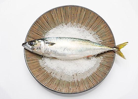 포토 JPG 스튜디오촬영 한마리 접시 식재료 실내 사람없음 해산물 흰배경 소금 고등어 자반고등어 절임 국내포토 1 식기 음식 백그라운드 어류 내부 흰색 파일형식