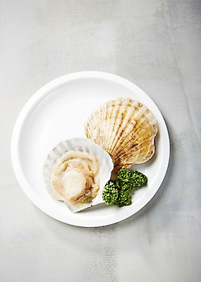 포토 JPG 스튜디오촬영 접시 식재료 어패류 실내 파슬리 사람없음 해산물 가리비 파슬리장식 국내포토 동물 식기 채소 조개 내부 장식 파일형식