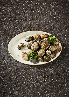 포토 JPG 스튜디오촬영 접시 식재료 어패류 실내 파슬리 사람없음 해산물 바지락 파슬리장식 국내포토 동물 식기 채소 조개 내부 장식 파일형식