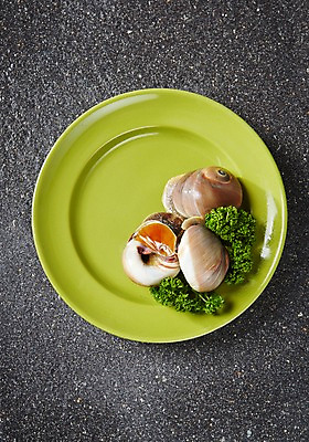 포토 JPG 스튜디오촬영 접시 식재료 어패류 실내 파슬리 사람없음 골뱅이 해산물 파슬리장식 국내포토 동물 식기 채소 내부 장식 파일형식