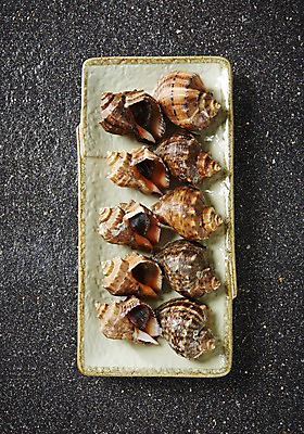 포토 JPG 스튜디오촬영 접시 식재료 어패류 실내 사람없음 소라 해산물 국내포토 동물 식기 내부 파일형식