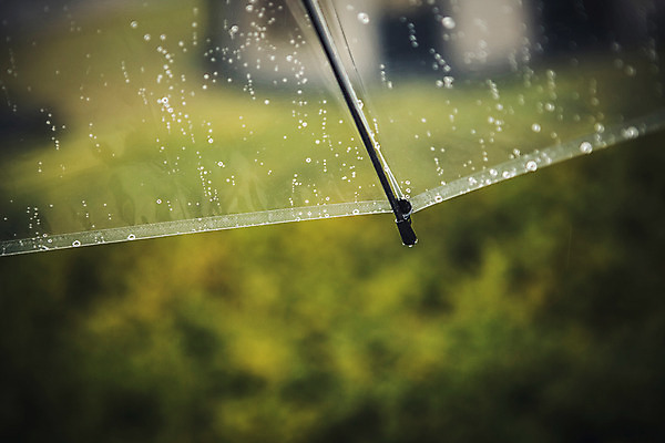 포토 JPG 주간 백그라운드 우산 풍경 사람없음 야외 가을 비 흐림 국내포토 자연요소 계절 날씨 파일형식