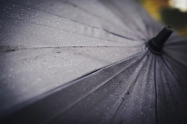 포토 JPG 주간 백그라운드 우산 풍경 근접촬영 사람없음 야외 가을 비 흐림 국내포토 자연요소 계절 뷰포인트 날씨 파일형식