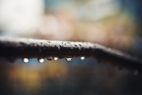 포토 JPG 주간 백그라운드 풍경 사람없음 야외 아웃포커스 울타리 가을 비 빗방울 흐림 국내포토 자연요소 계절 날씨 촬영기법 담장 비_날씨 파일형식