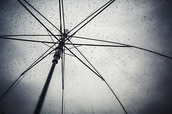 포토 JPG 주간 로우앵글 백그라운드 우산 풍경 사람없음 야외 가을 비 흐림 국내포토 자연요소 계절 뷰포인트 날씨 파일형식