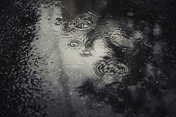 포토 JPG 주간 백그라운드 바닥 풍경 사람없음 야외 가을 비 빗방울 흐림 국내포토 자연요소 계절 날씨 비_날씨 파일형식