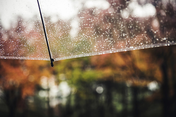 포토 JPG 주간 백그라운드 우산 풍경 사람없음 야외 아웃포커스 가을 비 흐림 국내포토 자연요소 계절 날씨 촬영기법 파일형식