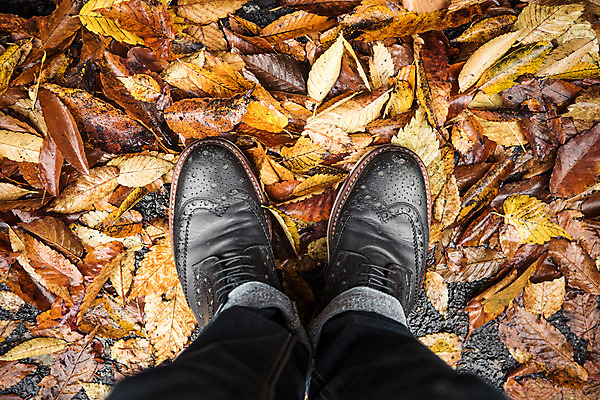 포토 JPG 주간 남자 백그라운드 신발 낙엽 한명 풍경 성인 야외 하이앵글 가을 비 흐림 국내포토 자연요소 1 계절 뷰포인트 잎 날씨 사람 파일형식