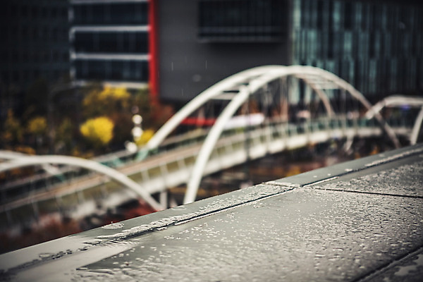 포토 JPG 주간 백그라운드 풍경 사람없음 야외 건물 아웃포커스 가을 다리 비 빗방울 흐림 판교 국내포토 자연요소 건축물 계절 날씨 촬영기법 신체부위 비_날씨 분당 파일형식