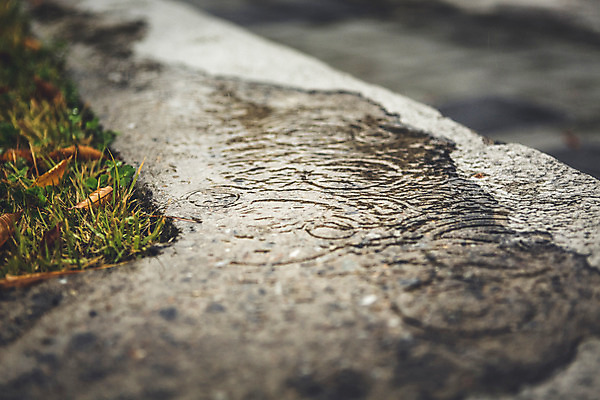 포토 JPG 주간 백그라운드 낙엽 바닥 풍경 사람없음 야외 가을 비 빗방울 흐림 국내포토 자연요소 계절 잎 날씨 비_날씨 파일형식